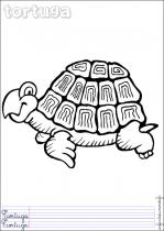 coloriage-tortue-2